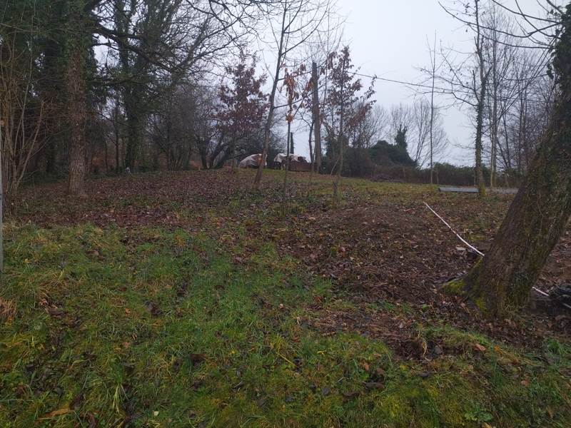 Vente Terrain NAVES - -784 m² - (19460)