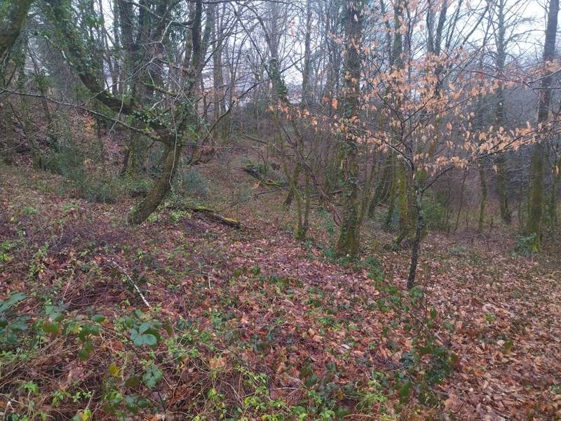 Vente Terrain CORREZE - -3349 m² - (19800)