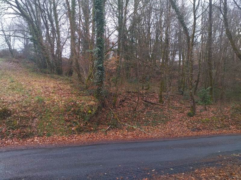 Vente Terrain CORREZE - -3349 m² - (19800)