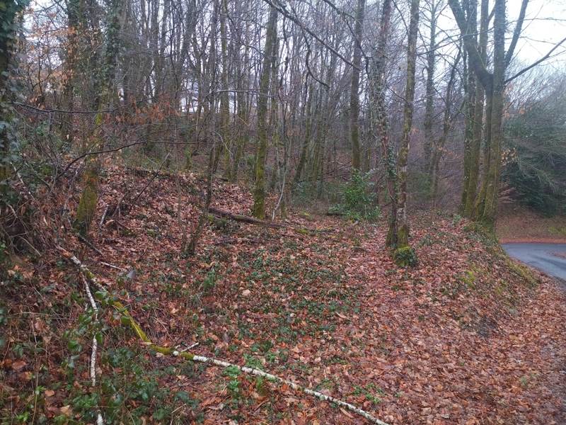 Vente Terrain CORREZE - -3349 m² - (19800)