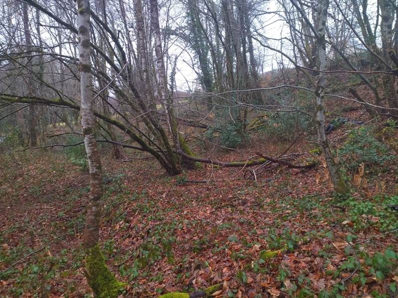 Vente Terrain CORREZE - -3349 m² - (19800)