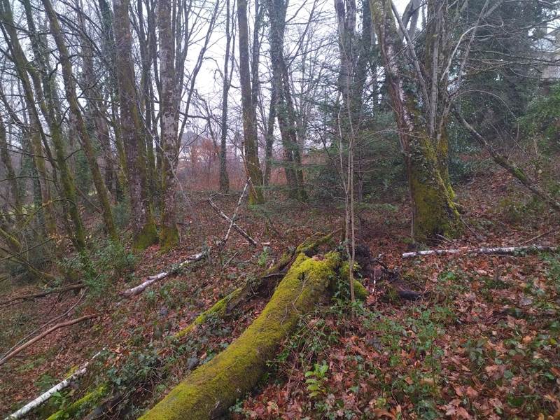 Vente Terrain CORREZE - -3349 m² - (19800)