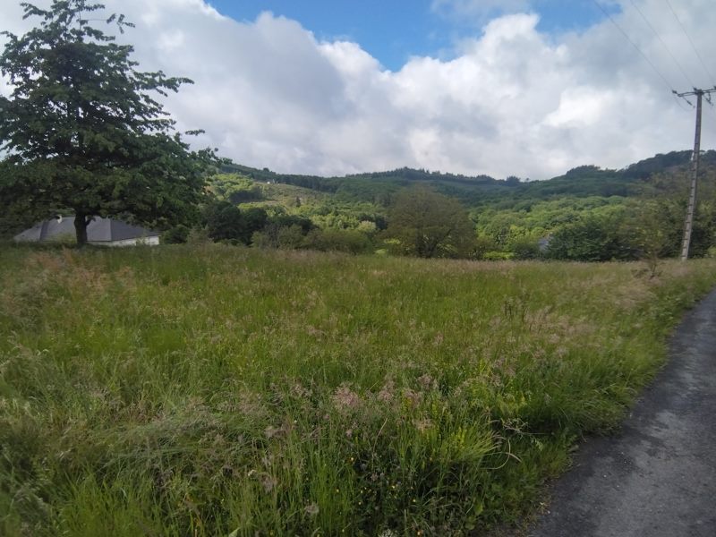 Vente Terrain STE FORTUNADE - -2190 m² - (19490)