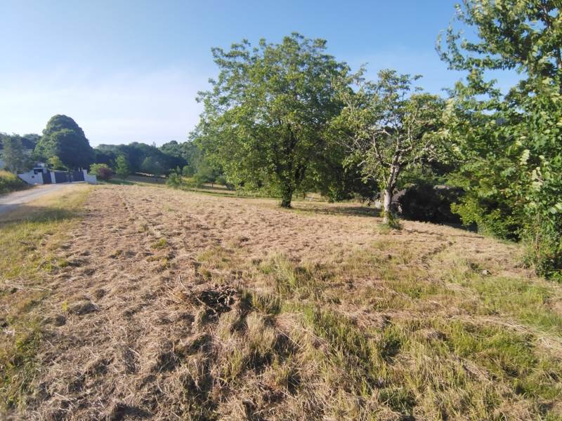 Vente Terrain STE FORTUNADE - -2275 m² - (19490)