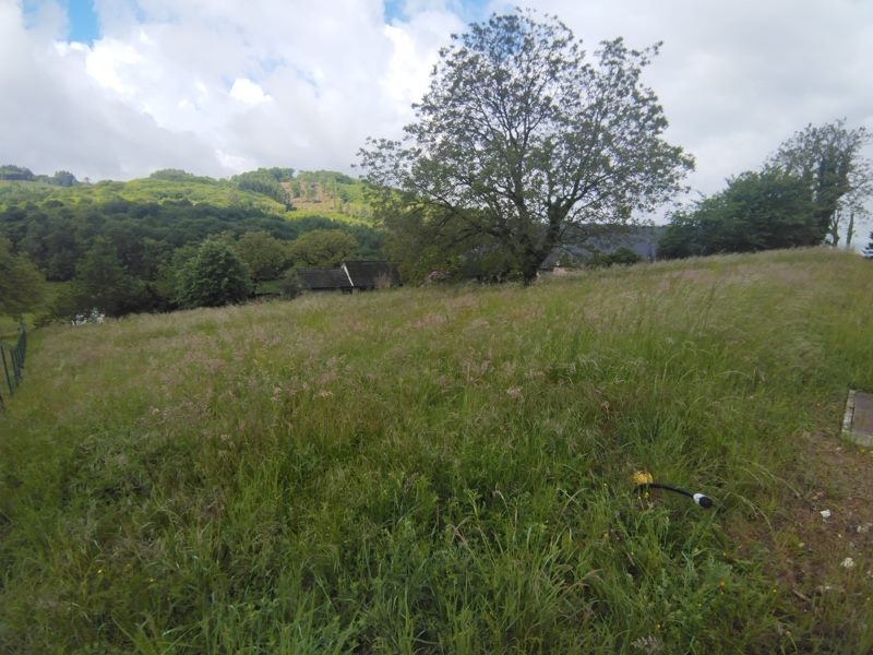 Vente Terrain STE FORTUNADE - -2275 m² - (19490)