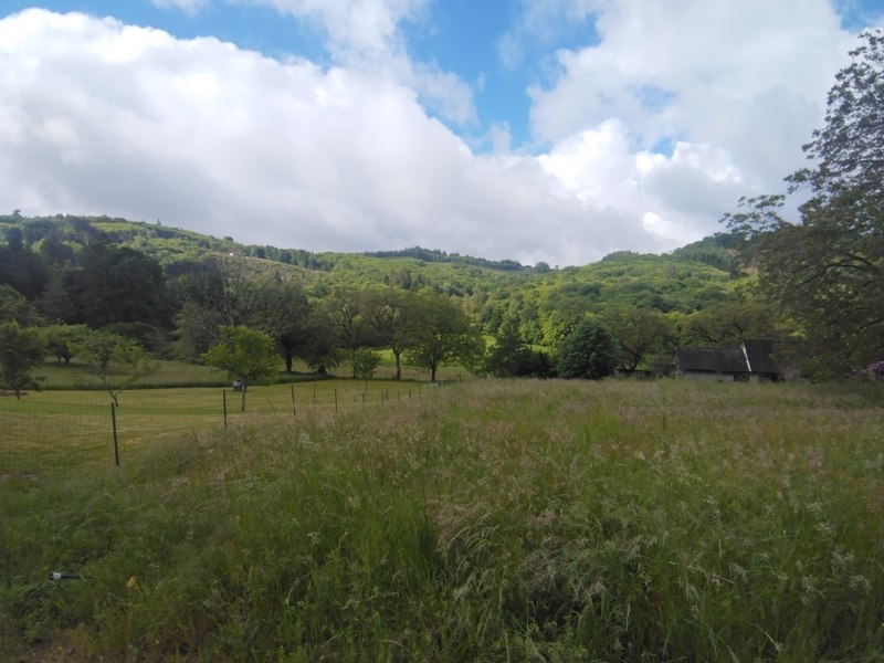 Vente Terrain STE FORTUNADE - -2275 m² - (19490)