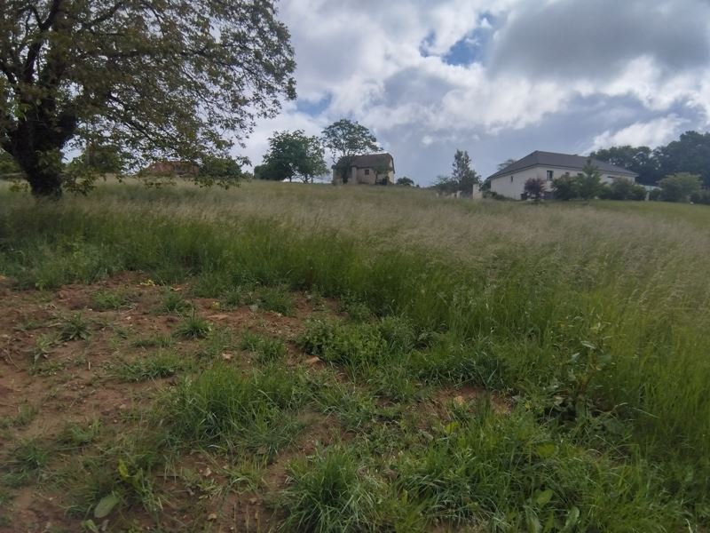 Vente Terrain STE FORTUNADE - -2275 m² - (19490)