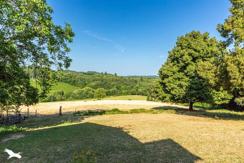 Vente Maison STE FORTUNADE - 3 pièces -91 m² - (19490)