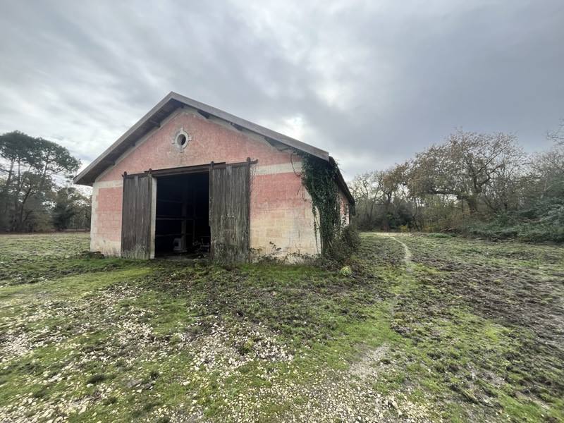 Vente Maison CESTAS - 5 pièces -143,4 m² - (33610)