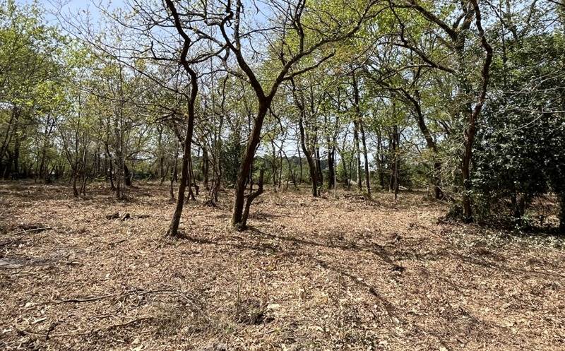 Vente Terrain CESTAS - -5000 m² - (33610)