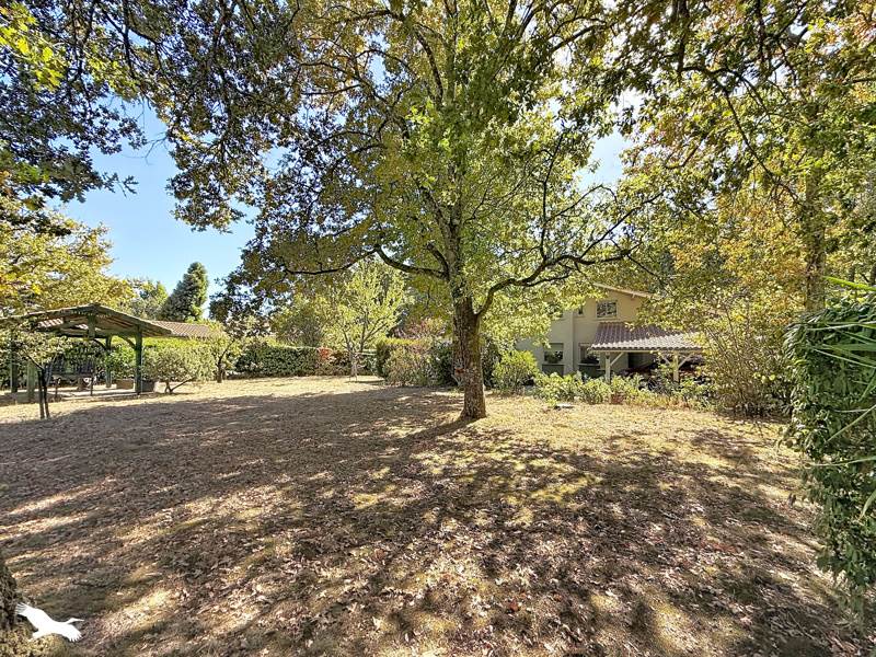 Vente Maison CESTAS - 6 pièces -168 m² - (33610)