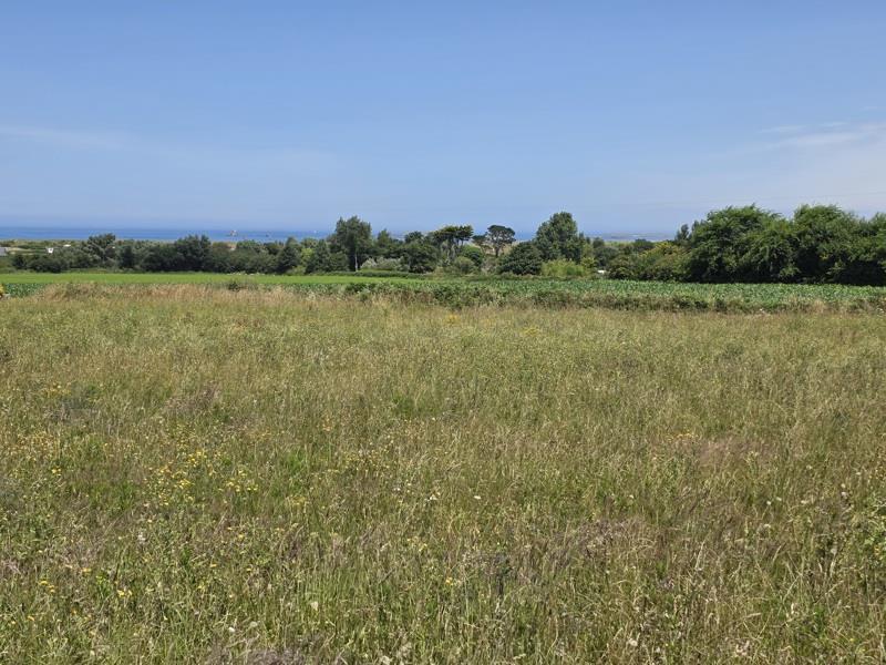 Vente Terrain Lampaul-Ploudalmézeau - -622 m² - (29830)
