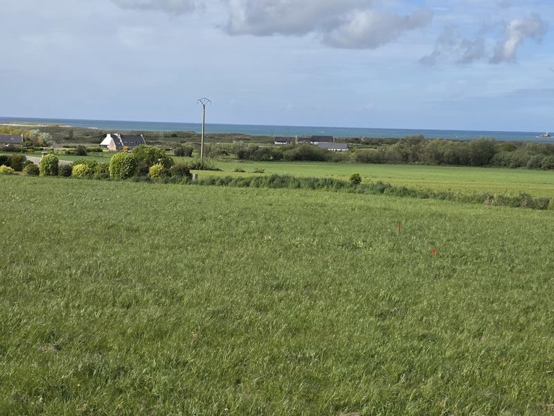 Vente Terrain Lampaul-Ploudalmézeau - -472 m² - (29830)