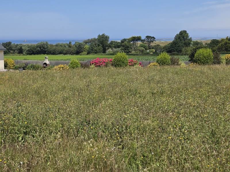 Vente Terrain Lampaul-Ploudalmézeau - -636 m² - (29830)