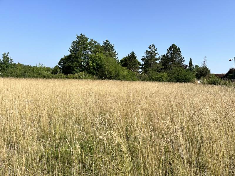 Vente Terrain LALBENQUE - -838 m² - (46230)