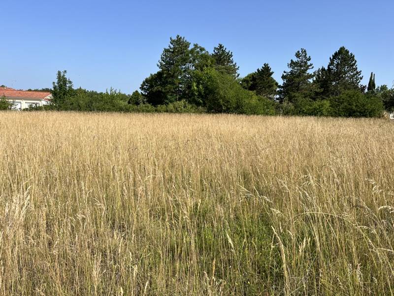 Vente Terrain LALBENQUE - -838 m² - (46230)