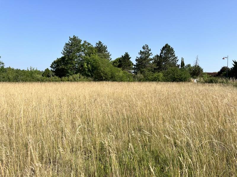 Vente Terrain LALBENQUE - -838 m² - (46230)