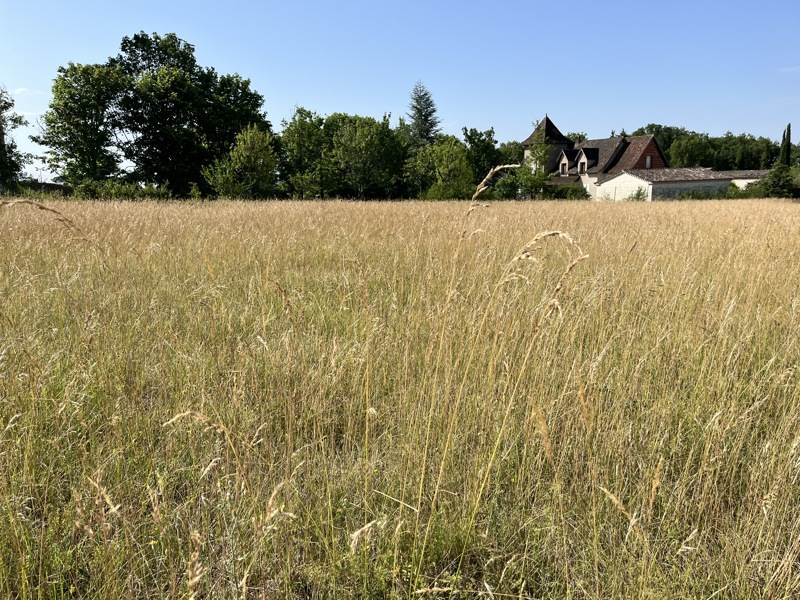 Vente Terrain LALBENQUE - -866 m² - (46230)
