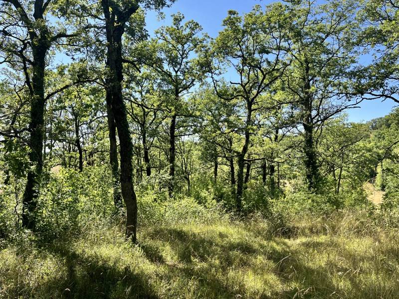 Vente Terrain ESCLAUZELS - -2400 m² - (46090)