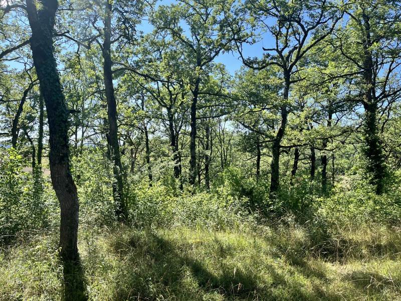 Vente Terrain ESCLAUZELS - -2400 m² - (46090)