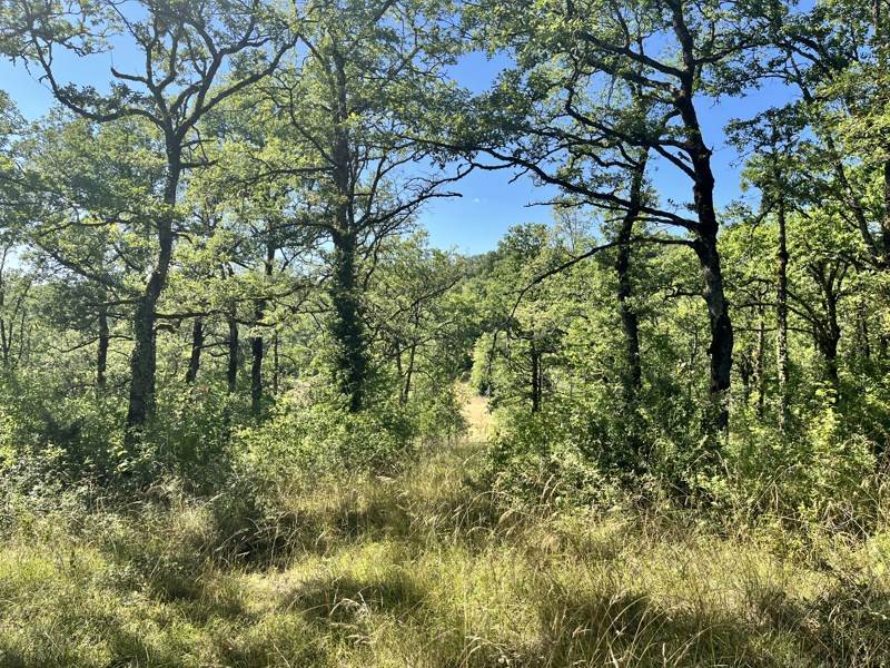 Vente Terrain ESCLAUZELS - -2400 m² - (46090)