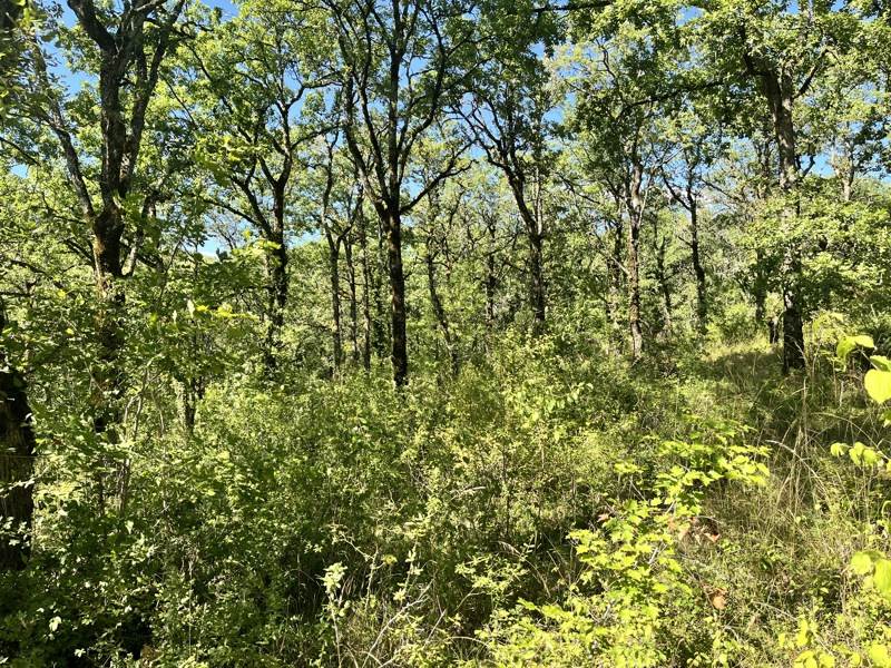 Vente Terrain ESCLAUZELS - -2400 m² - (46090)