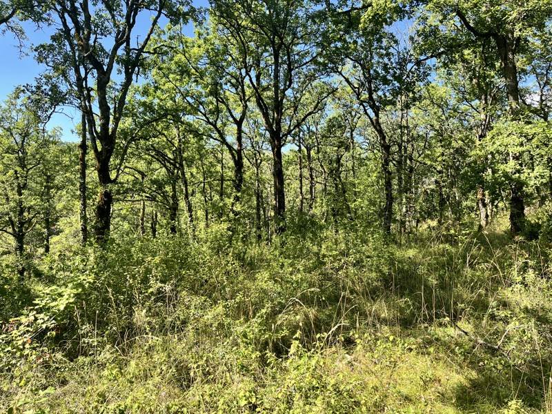 Vente Terrain ESCLAUZELS - -2400 m² - (46090)