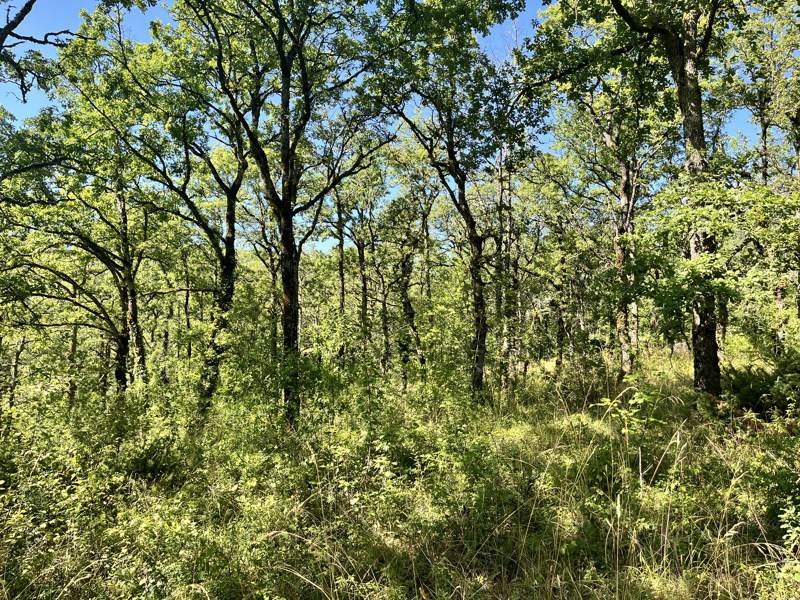 Vente Terrain ESCLAUZELS - -2400 m² - (46090)