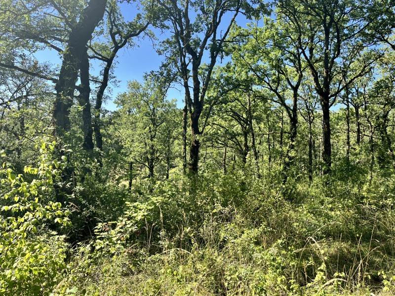 Vente Terrain ESCLAUZELS - -2400 m² - (46090)