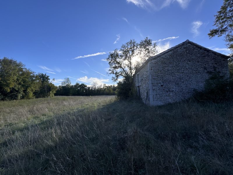 Vente Terrain LALBENQUE - -18336 m² - (46230)