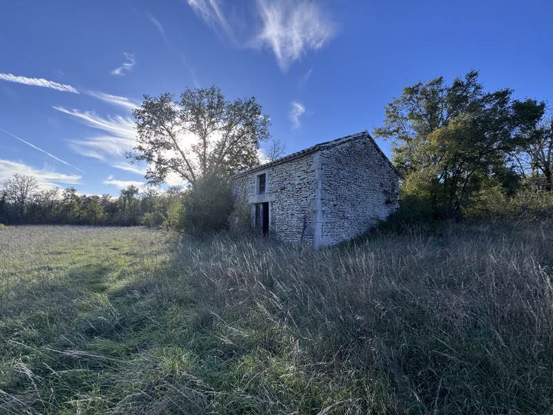 Vente Terrain LALBENQUE - -18336 m² - (46230)