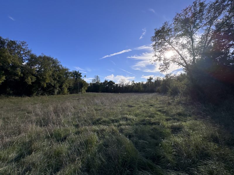 Vente Terrain LALBENQUE - -18336 m² - (46230)