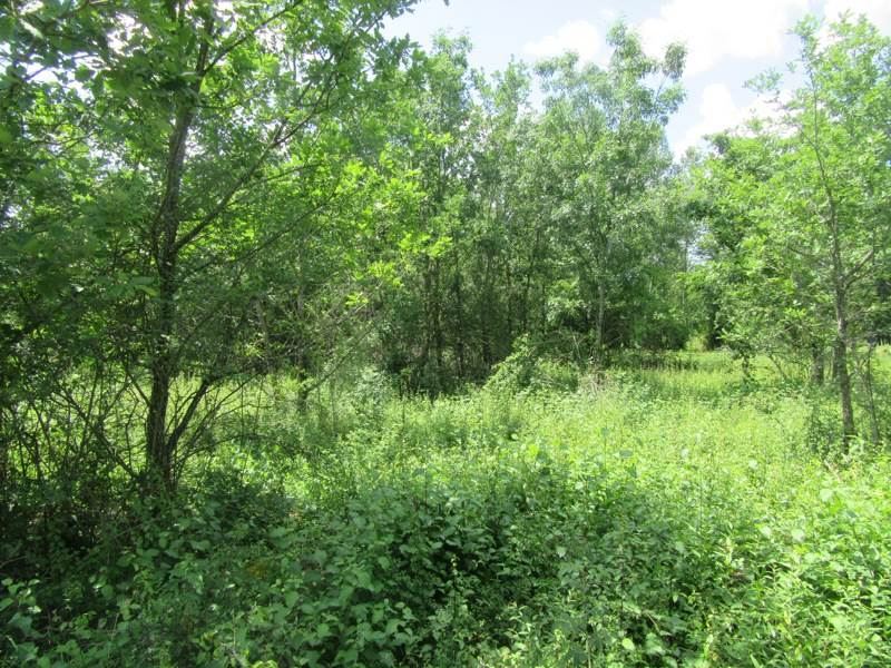 Vente Terrain MONTDOUMERC - -1046 m² - (46230)