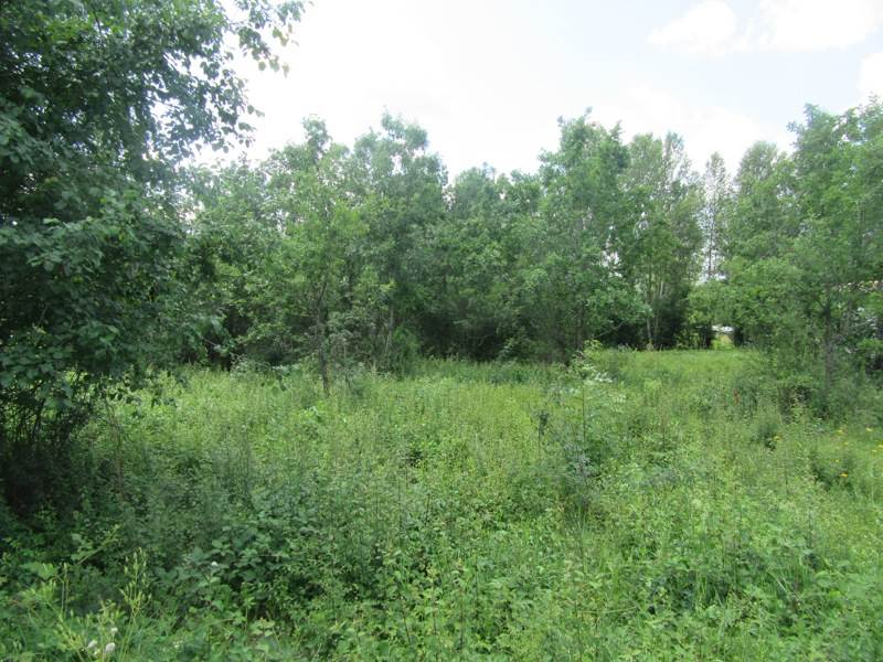 Vente Terrain MONTDOUMERC - -1046 m² - (46230)
