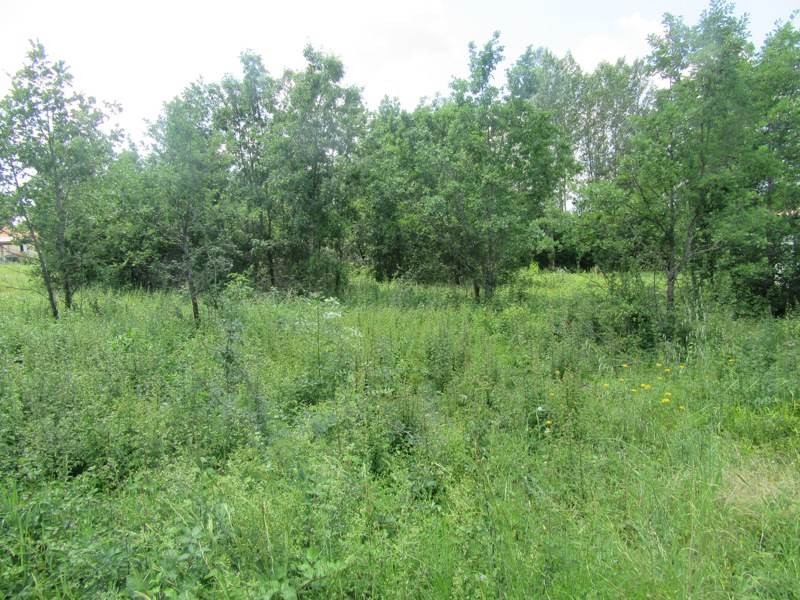 Vente Terrain MONTDOUMERC - -1046 m² - (46230)