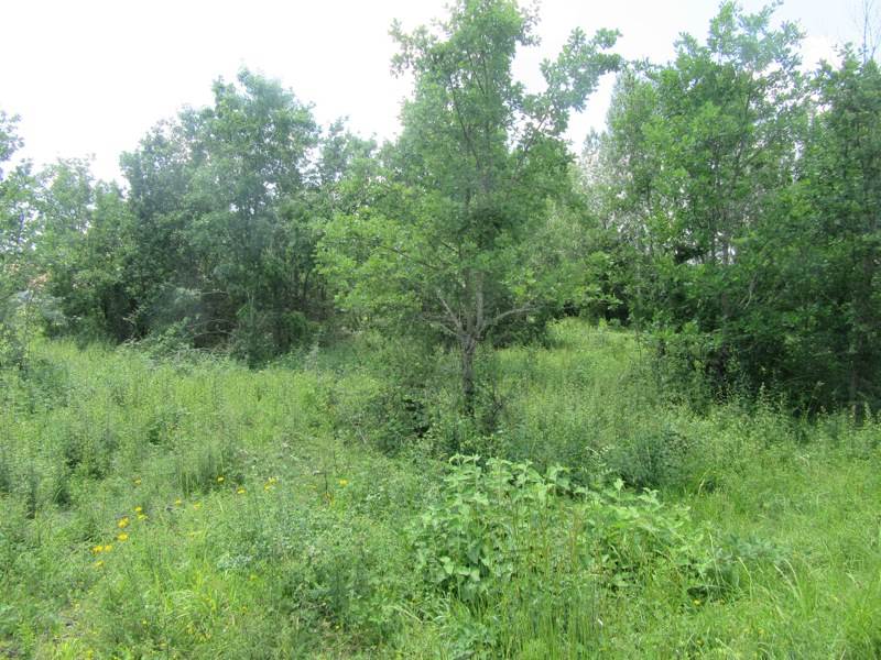 Vente Terrain MONTDOUMERC - -1046 m² - (46230)