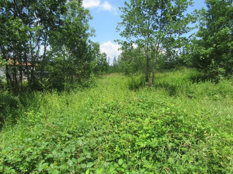 Vente Terrain MONTDOUMERC - -1046 m² - (46230)