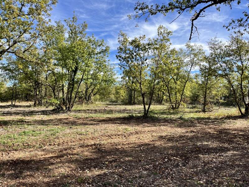 Vente Terrain LALBENQUE - -1424 m² - (46230)