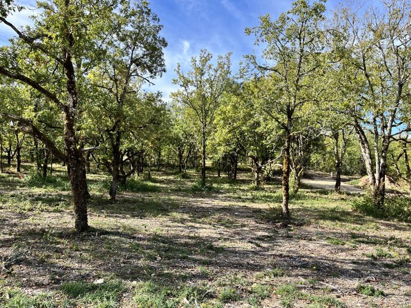 Vente Terrain LALBENQUE - -1424 m² - (46230)
