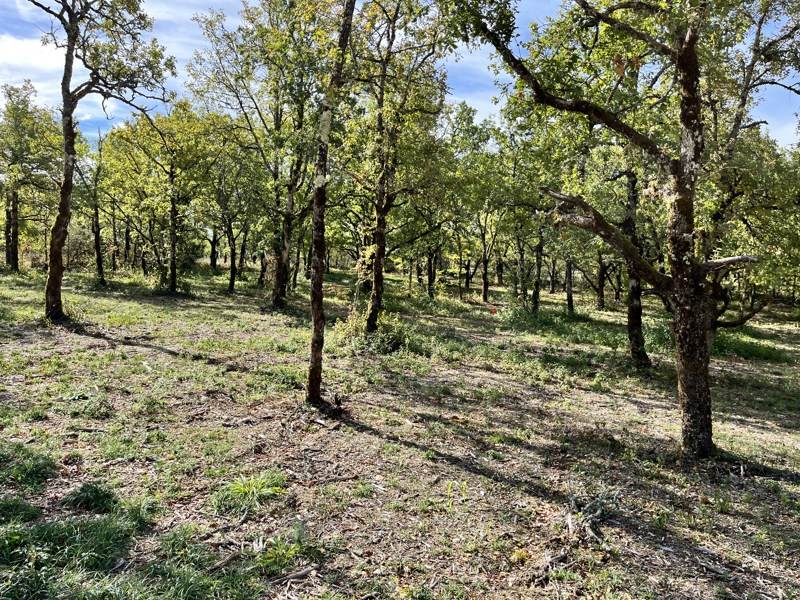 Vente Terrain LALBENQUE - -1424 m² - (46230)