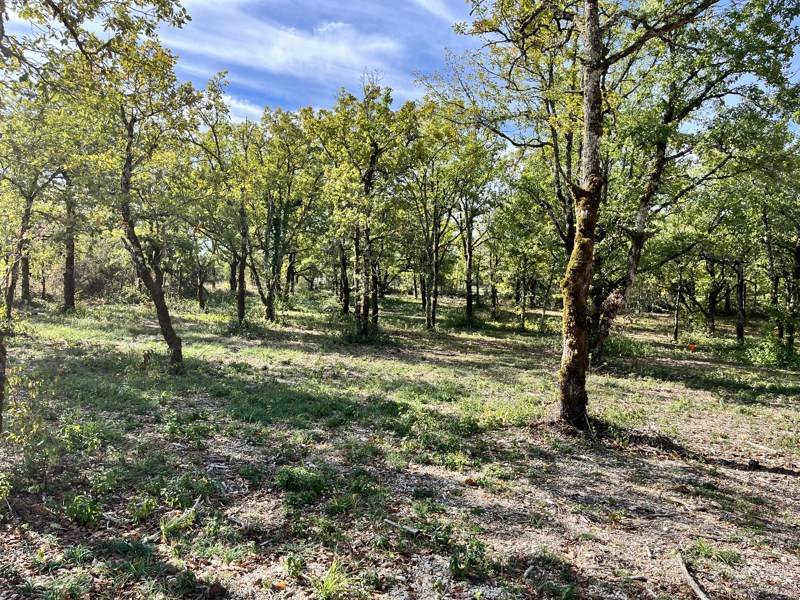 Vente Terrain LALBENQUE - -747 m² - (46230)