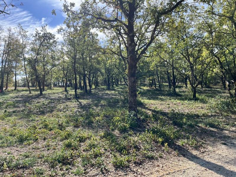 Vente Terrain LALBENQUE - -1069 m² - (46230)