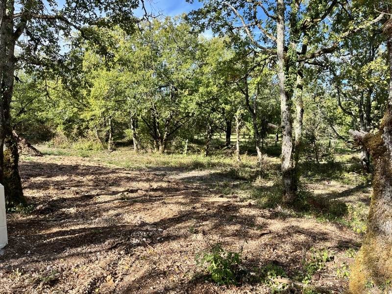 Vente Terrain LALBENQUE - -1069 m² - (46230)