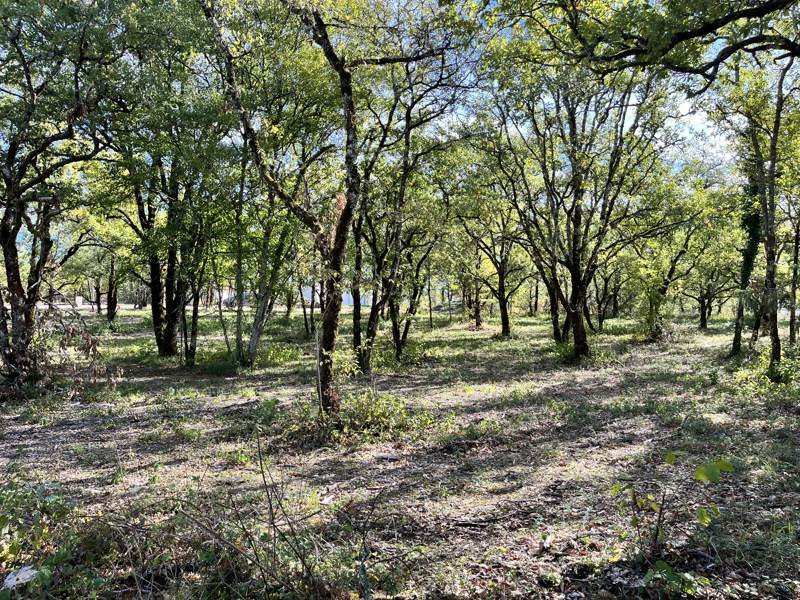 Vente Terrain LALBENQUE - -1069 m² - (46230)