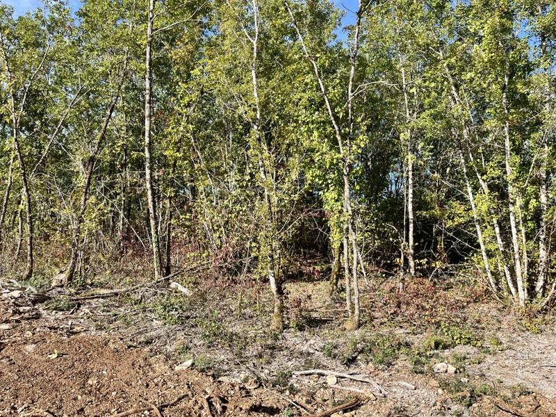 Vente Terrain LALBENQUE - -1318 m² - (46230)