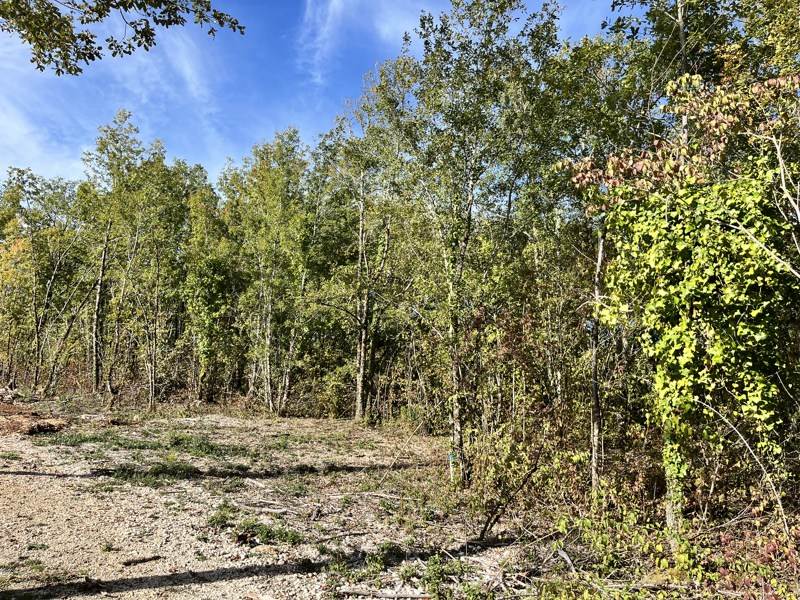 Vente Terrain LALBENQUE - -1318 m² - (46230)