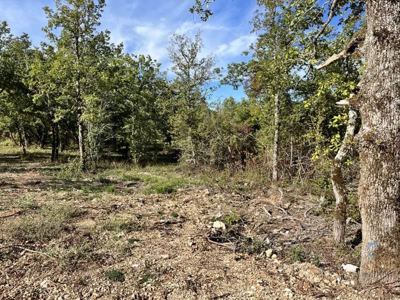 Vente Terrain LALBENQUE - -1318 m² - (46230)