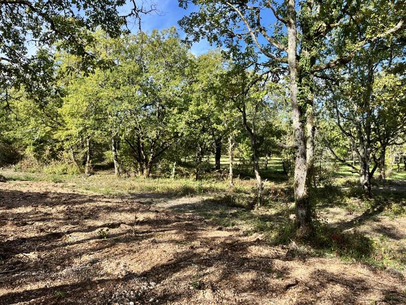 Vente Terrain LALBENQUE - -1327 m² - (46230)