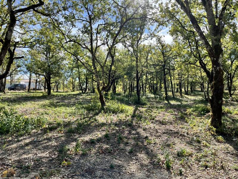 Vente Terrain LALBENQUE - -1327 m² - (46230)