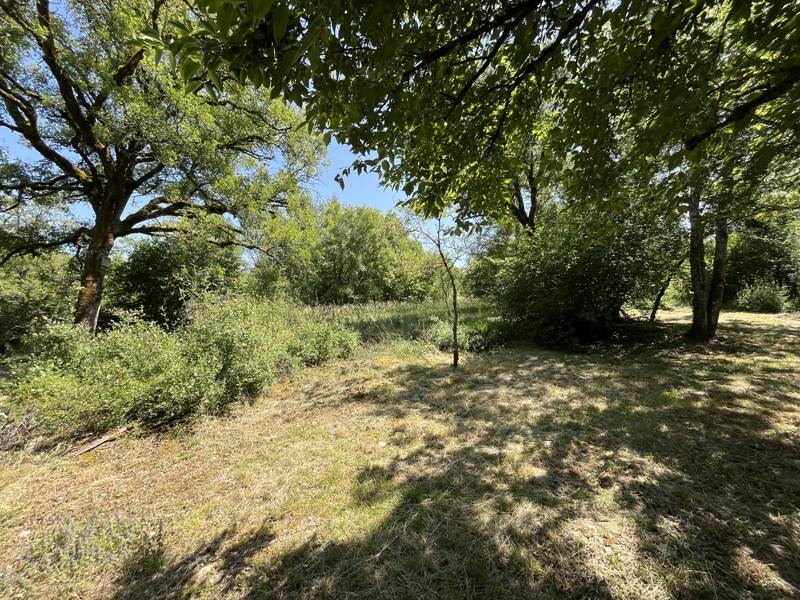Vente Terrain CREGOLS - -6630 m² - (46330)